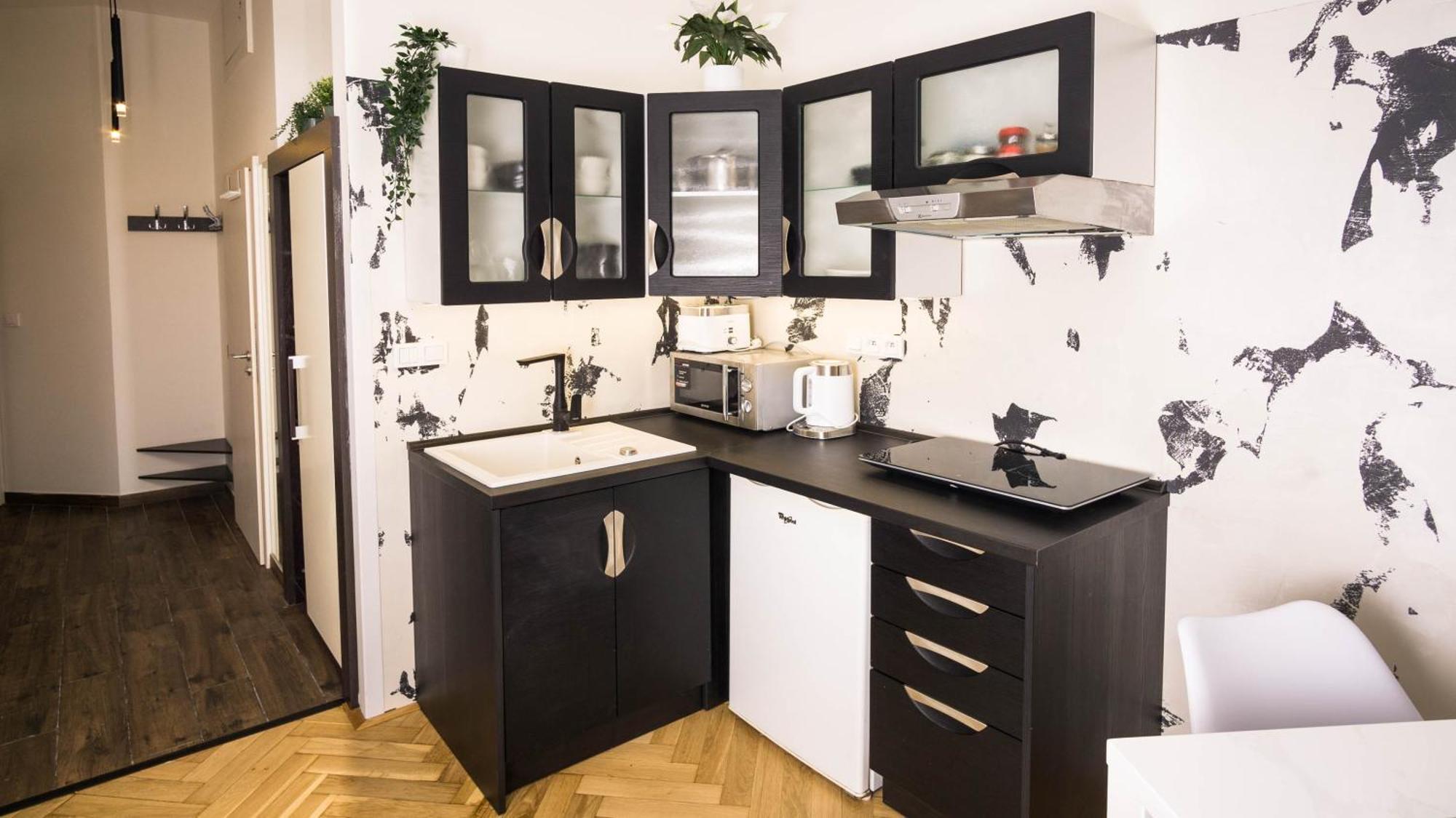 Black & White Apartment Prague By Wenceslas Square And Muzeum Apartment Prag